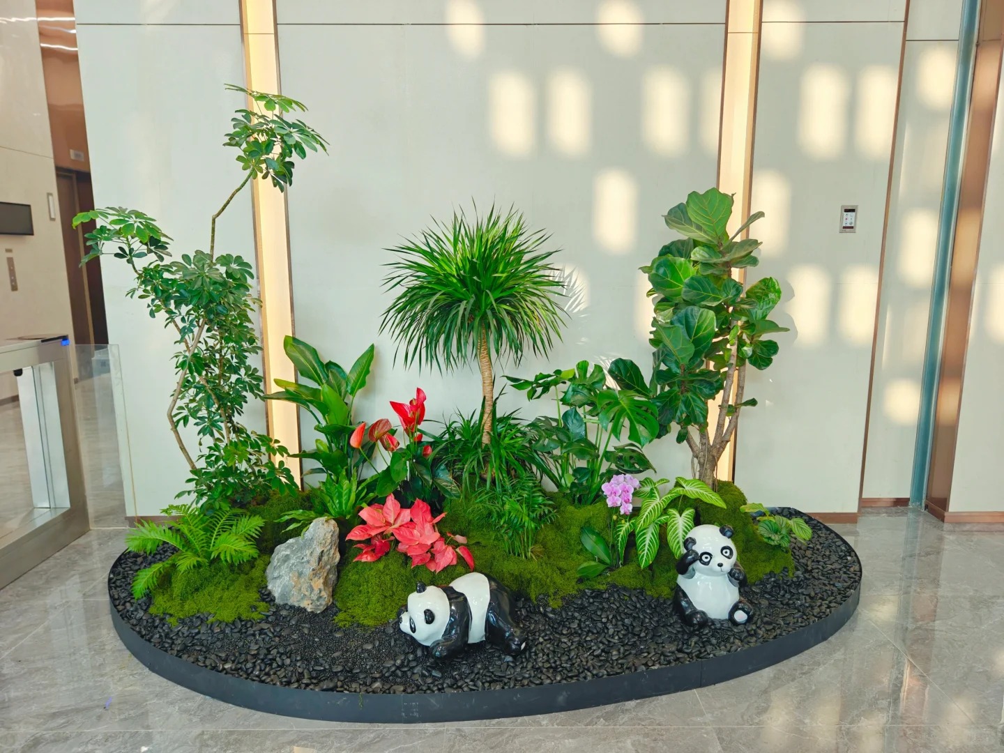 专业植物出租在江北，满足多样绿植需求